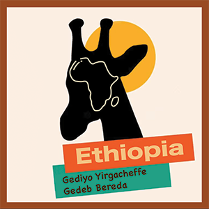 6. Ethiopia - Gediyo Yirgacheffe Gedeb Bereda 蓋德奧 耶加雪菲 潔蒂普鎮 布烈達村 2022 - Washed G1