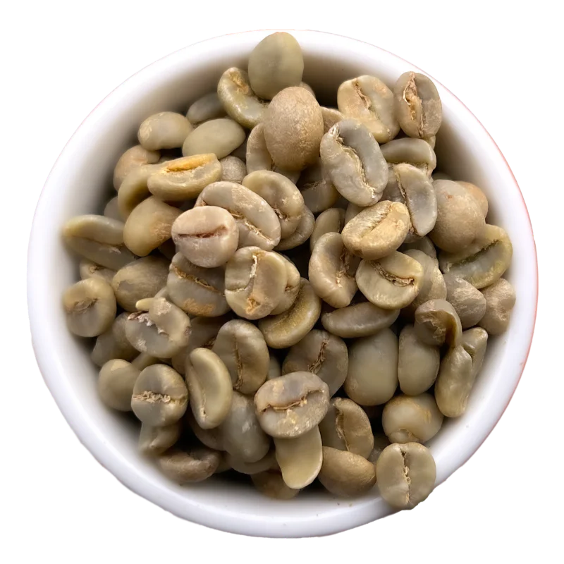 7. Ethiopia - Sidamo Bensa Bona Qiqe Elala 西達摩 班莎 波那村 山嵐批次 2022 Washed G1