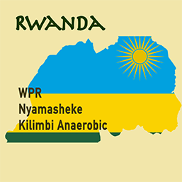 Rwanda WPR Nyamasheke Kilimbi Anaerobic  西部省 亞瑪雪克 其林比處理廠 - Natural - 2022